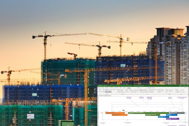 Microsoft Project Professional