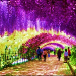 Foto del perfil de GabrielaXXI