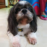 Foto del perfil de Karen Bran Rico