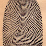 Foto del perfil de Museo Policial